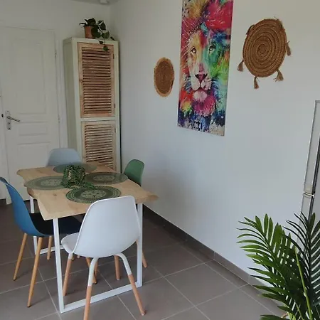 Bobo Chic Paradise *