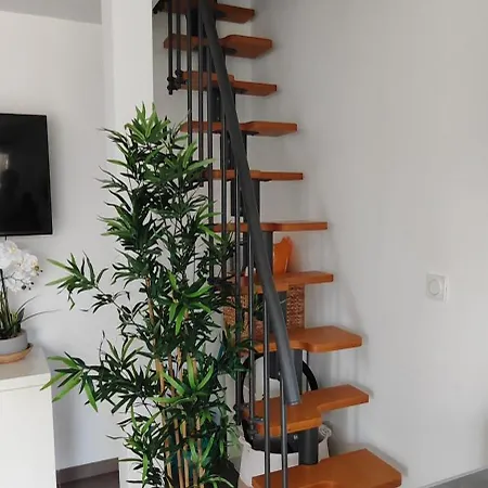 Bobo Chic Paradise Apartment